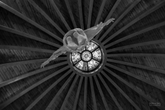 14_IMG_0641-BW