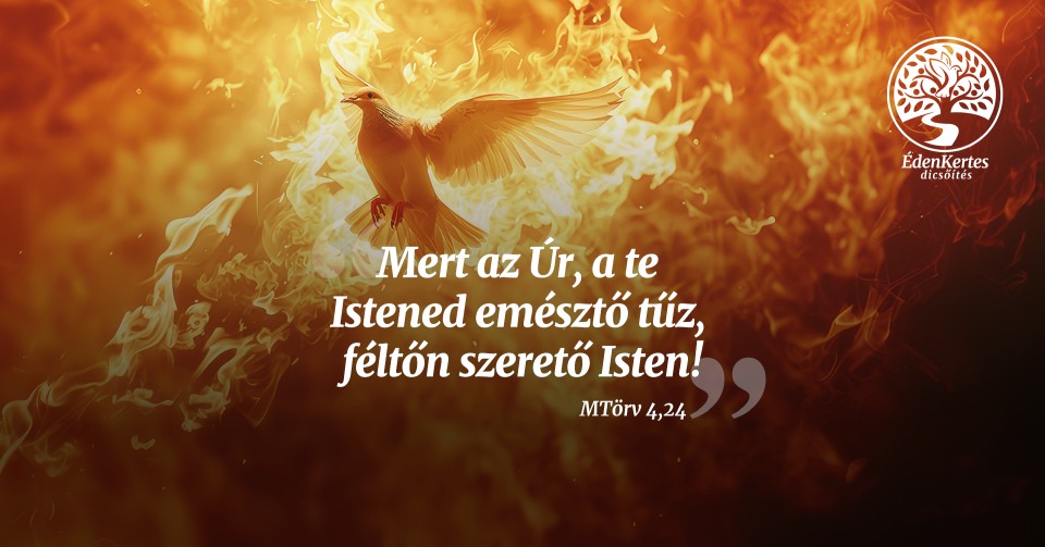 Dicsőítő imaest – Erdőkertes
